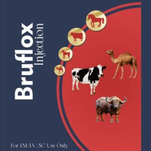 Bruflox Injection