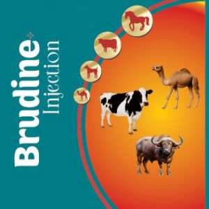 Ranitidine Hydrochloride Injection I.P. (Vet.)