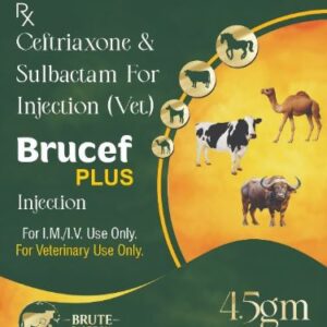 Brucef PLUS