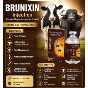 Brunixín Injection – Flunixin Meglumine (Vet.)